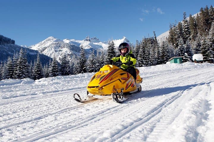 Family Snowmobile Tour in Whistler — Callaghan Valley Backcountry Ride photo 2