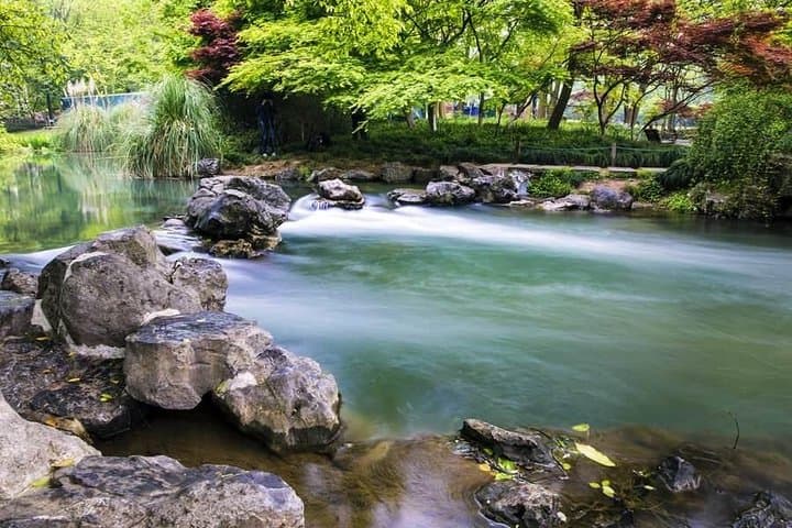 Private Hangzhou & Xitang Day Tour — West Lake, Longjing Tea & Ancient Water Town photo 3