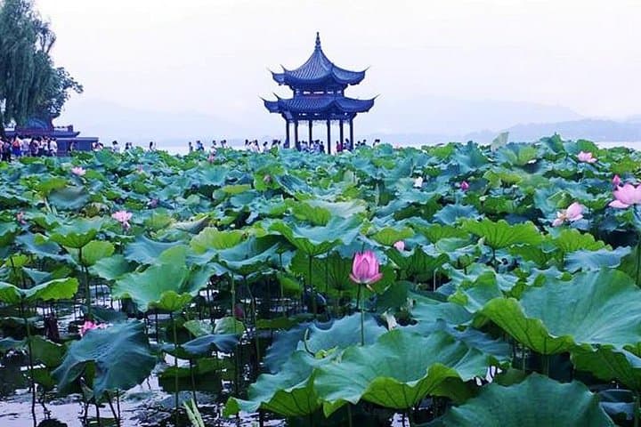Private Hangzhou & Xitang Day Tour — West Lake, Longjing Tea & Ancient Water Town photo 4