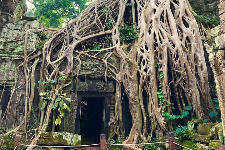 One-Day Angkor Wat Tour: Angkor Wat, Bayon & Ta Prohm in Siem Reap photo 3
