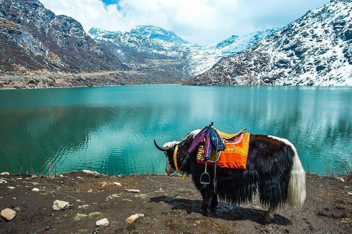 6-Day North Sikkim Adventure: Lachen, Gurudongmar & Yumthang Valley