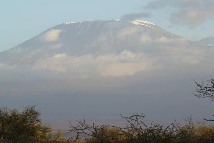 Amboseli National Park Day Safari — Kilimanjaro Views & Big Game photo 4