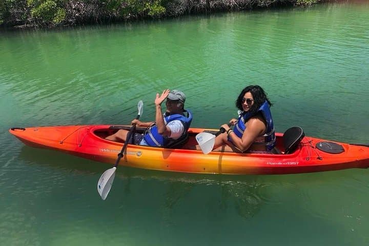 Key West Mangrove Kayak Eco Tour: Backcountry Paddle Guide photo 4