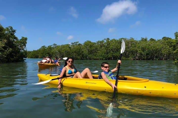 Key West Mangrove Kayak Eco Tour: Backcountry Paddle Guide photo 2