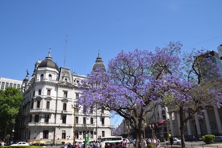 Buenos Aires Private Car City Tour: La Boca, San Telmo & Recoleta Highlights photo 6