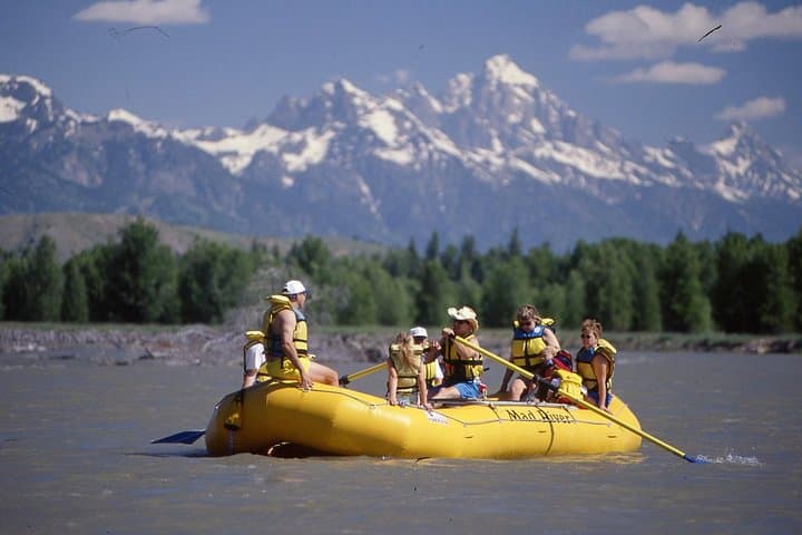 Snake River Scenic Float Trip from Jackson Hole — 4-Hour Teton Views & Wildlife
