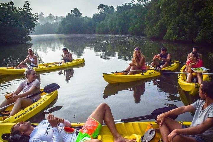 Sunrise Mangrove Kayaking on Madu River - Bentota Kayak Retreat photo 3