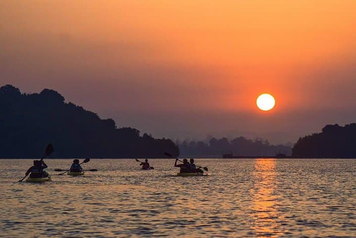 Sunrise Mangrove Kayaking on Madu River - Bentota Kayak Retreat photo 4