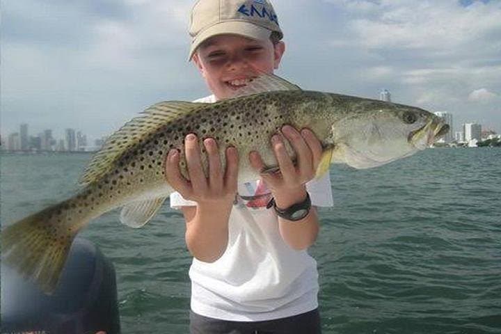 6-Hour Miami Inshore Fishing Trip: Explore Biscayne Bay’s Coastal Flats