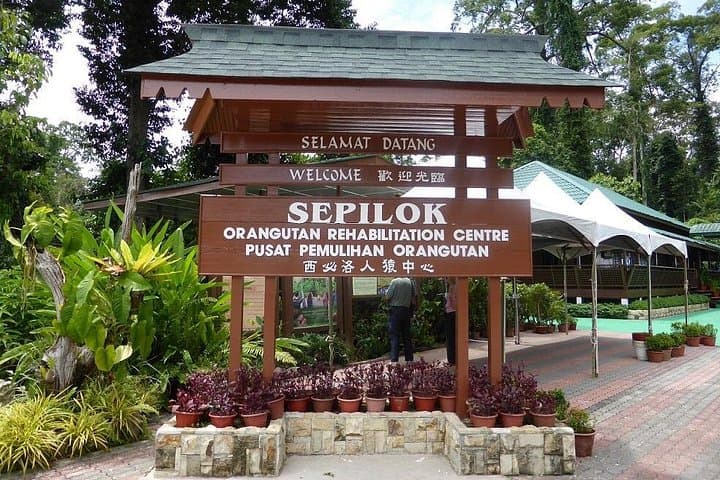 Sepilok Orangutan, Bornean Sun Bear & Rainforest Discovery Centre: Private Full-Day Wildlife Tour photo 1