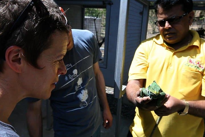 Behind the Scenes at Kula Wild Adventure Park: Guided Conservation Tour in Fiji photo 2