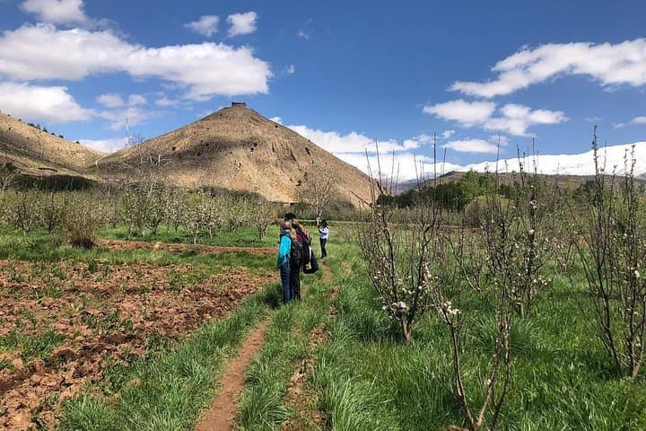 M'Goun Peak Ascent: 6-Day High Atlas Trek from Marrakech