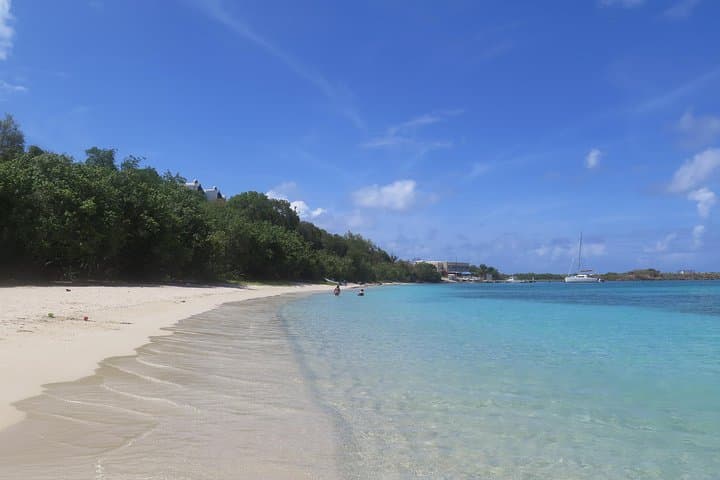 Small Group Sea Turtle Snorkel Tour in St. Thomas — Guaranteed Turtle Sightings photo 2