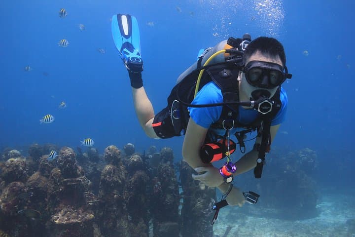 Cancun Underwater Museum and Manchones Reef: Certified Dive Trip photo 5