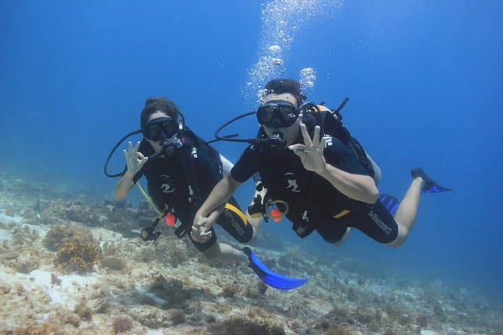 Cancun Underwater Museum and Manchones Reef: Certified Dive Trip photo 6