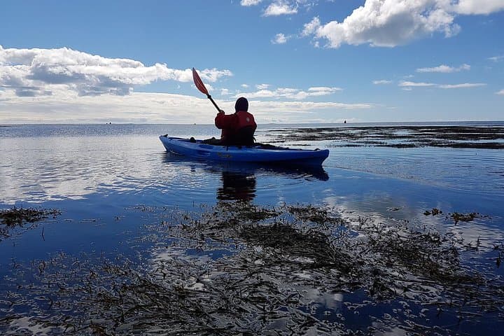 Kayak Adventure in Sicily — Sea and River Tours from Taormina photo 2