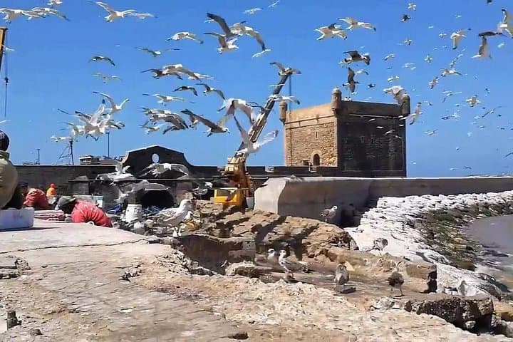 Essaouira Day Trip from Marrakech: Coastal Ramparts, Souks & Seafood photo 2