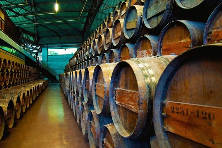 Day Trip to Arrábida & Sesimbra: Wine Tasting, Castles, and Coastal Views from Lisbon photo 3