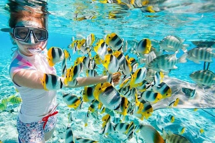 Giftun Island Snorkeling Trip from Hurghada with Lunch