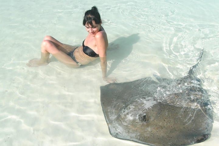 Contoy Island Day Trip: Snorkel Pristine Reefs and See Rays