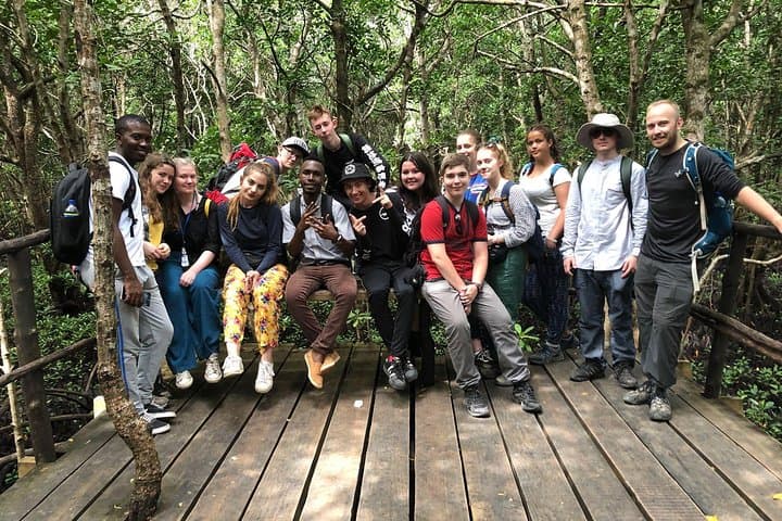 Jozani Forest Tour: See Zanzibar’s Red Colobus and Mangrove Boardwalk