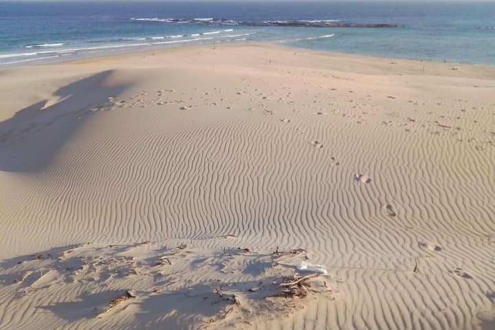 Guided Marine Walk at Sardinia Bay Marine Protected Area — Rock Pools, Dunes & Coastal Wildlife photo 4