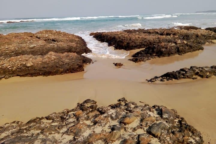Guided Marine Walk at Sardinia Bay Marine Protected Area — Rock Pools, Dunes & Coastal Wildlife photo 5
