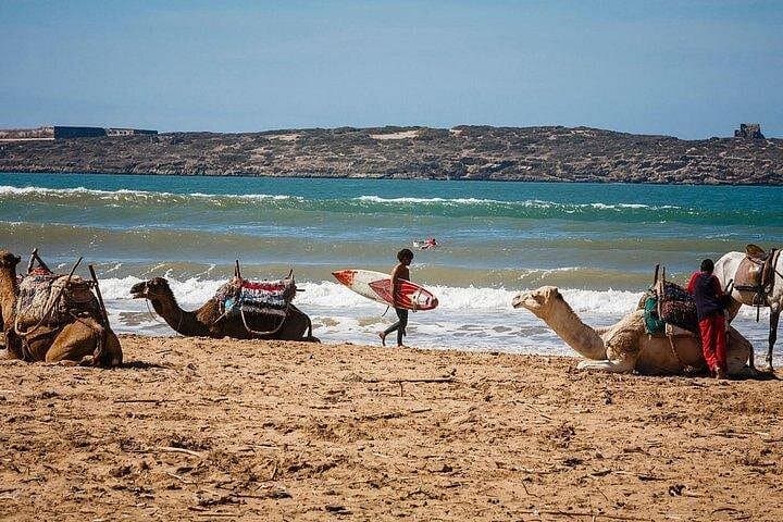 Private Day Trip from Marrakech to Essaouira: Coastal Medina, Argan Stops & Fresh Seafood photo 2