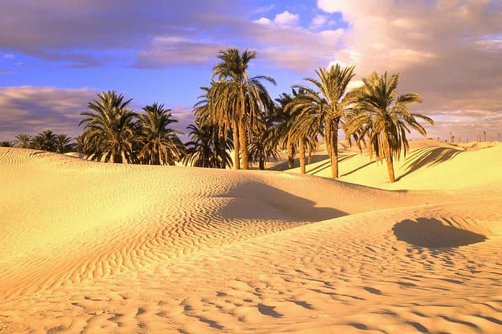 Sahara From Marrakech: 4-Day Desert Tour to Merzouga and Dades Gorges photo 2