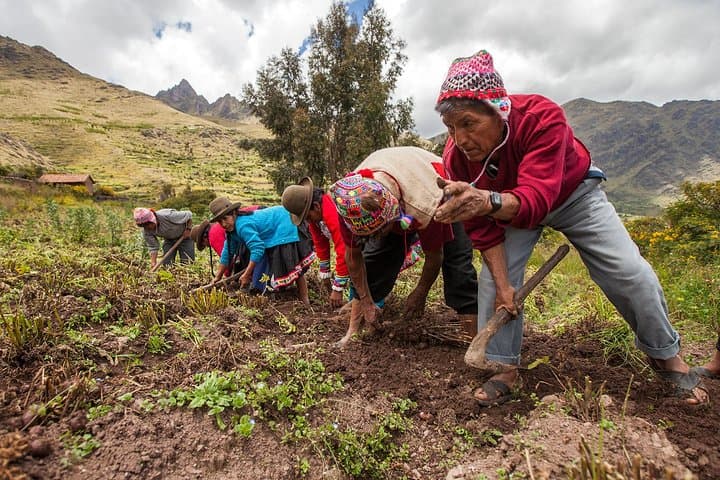 Lamay Community Day: Hands-On Andean Farming & Weaving Experience photo 2