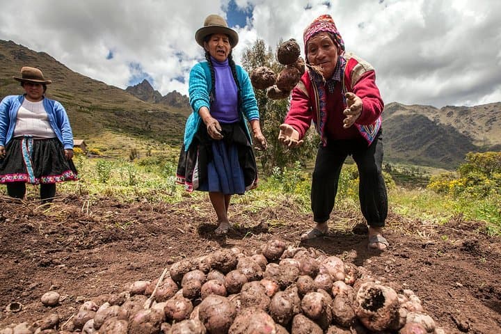 Lamay Community Day: Hands-On Andean Farming & Weaving Experience photo 6