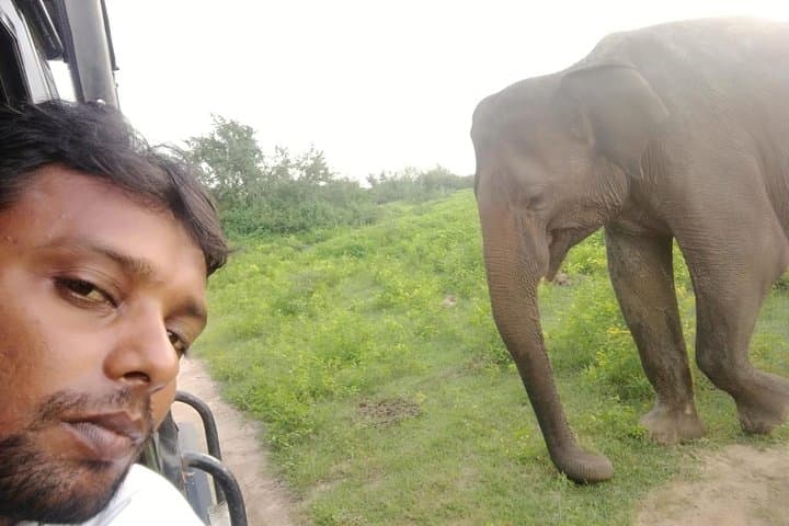 Uda Walawe 1-Day Safari from Mirissa — Elephant Jeep Tour & Wildlife Viewing photo 2