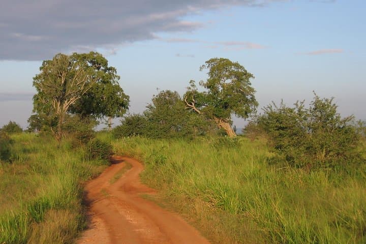 Uda Walawe 1-Day Safari from Mirissa — Elephant Jeep Tour & Wildlife Viewing photo 5