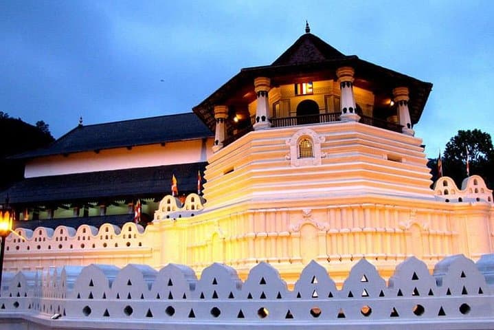 Kandy Heritage Day Tour — Botanical Gardens, Temples & Tea Factory photo 2