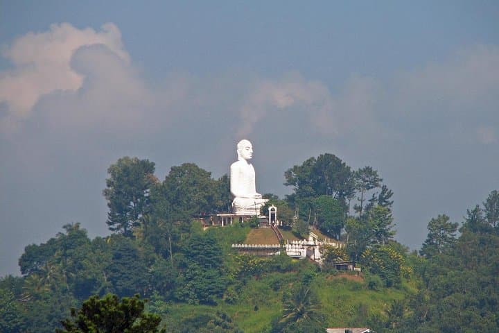 Kandy Heritage Day Tour — Botanical Gardens, Temples & Tea Factory photo 5