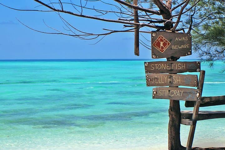 Mantanani Island Snorkeling Tour from Kota Kinabalu — Beginner-Friendly House Reef Adventure photo 4