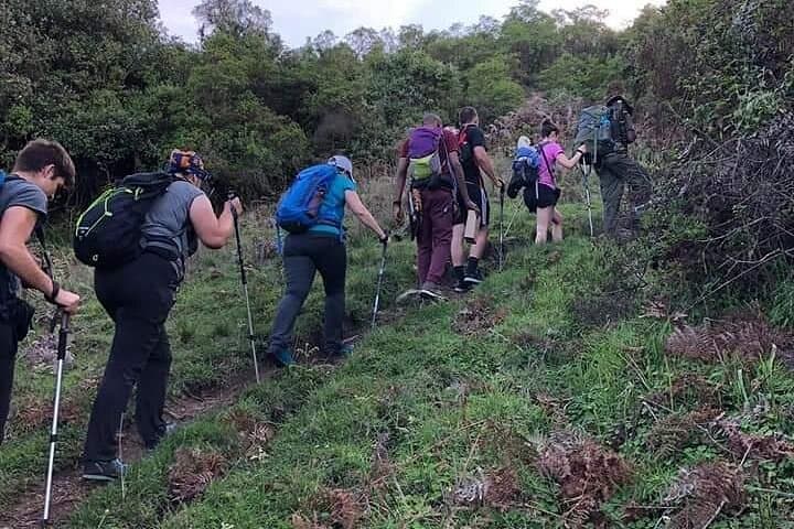 4-Day Mount Meru Trek: Rainforest, Wildlife and Alpine Summit near Arusha