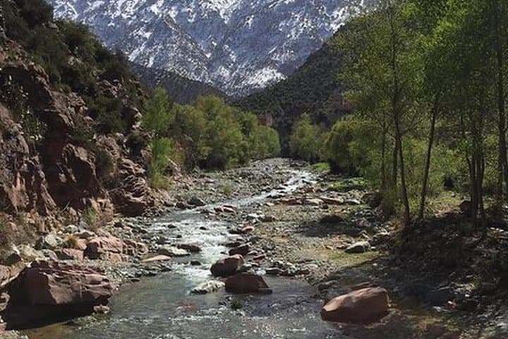 Ouzoud Waterfalls Full-Day Private Excursion from Marrakech photo 3