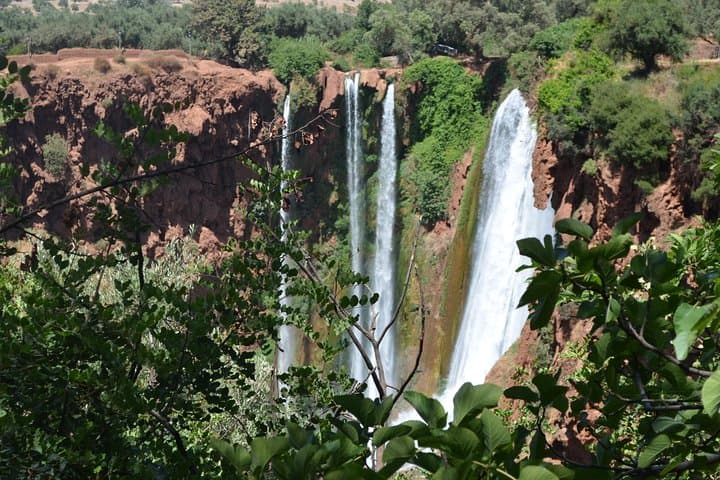 Ouzoud Waterfalls Full-Day Private Excursion from Marrakech photo 5