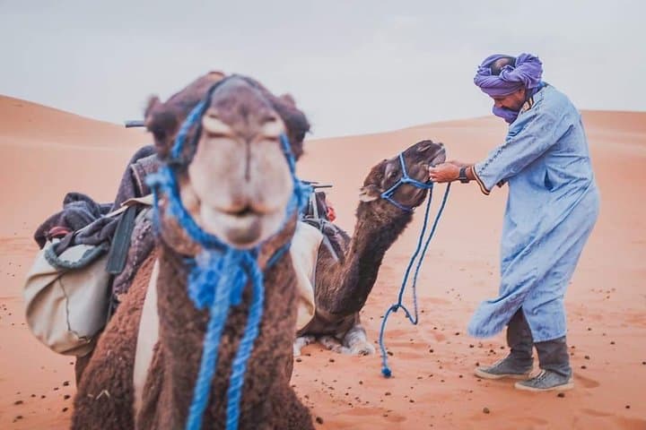 3-Day Sahara Desert Trip from Marrakech: Camel Trekking & Erg Chebbi Nights photo 2