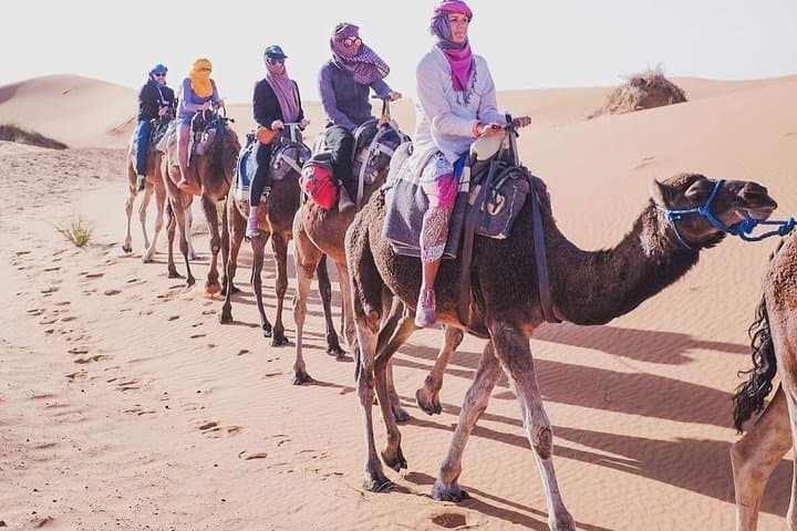 3-Day Sahara Desert Trip from Marrakech: Camel Trekking & Erg Chebbi Nights photo 3
