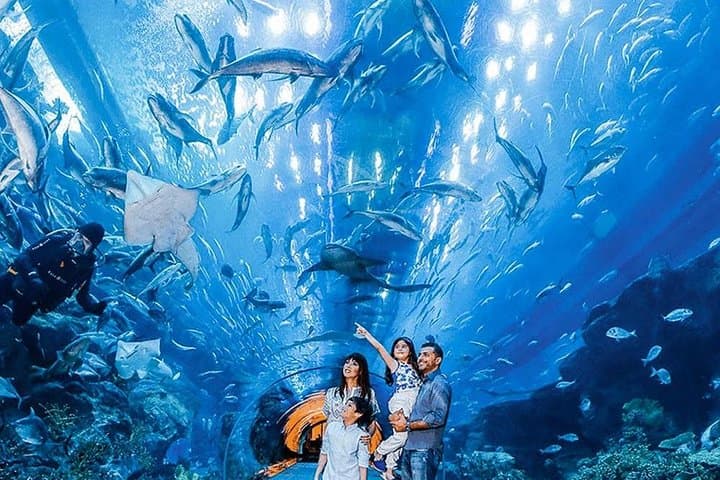 Dubai Frame & Dubai Mall Aquarium Combo: Skyline Views and Underwater Wonders photo 2