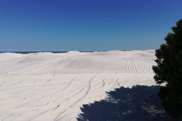 Guided Hiking and Environmental Education at Atlantis Sand Dunes