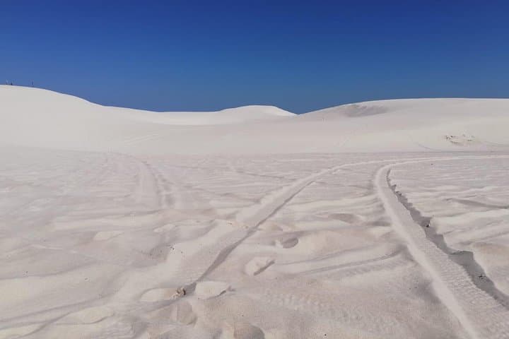 Guided Hiking and Environmental Education at Atlantis Sand Dunes photo 3