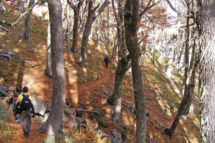 Summit Cerro Colorado Near San Martín de los Andes: Full-Day Guided Trek photo 4