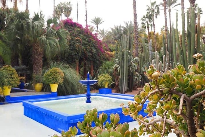 Half-Day Marrakech Highlights: Majorelle Garden, Medina & Bahia Palace photo 2