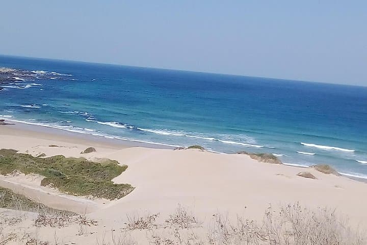 Sardinia Bay Guided Marine Walk: Rock Pools, Dunes & Whale Watching photo 2