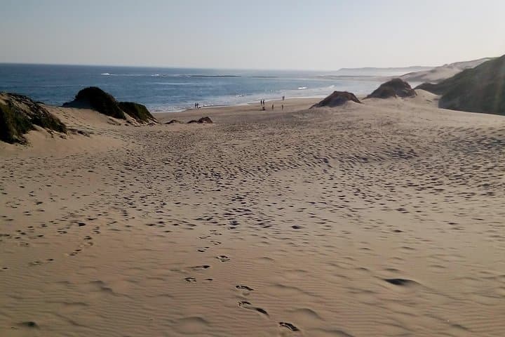 Sardinia Bay Guided Marine Walk: Rock Pools, Dunes & Whale Watching photo 5