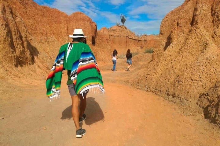 Discover the Tatacoa Desert: Guided Day Trip from Neiva with Stargazing