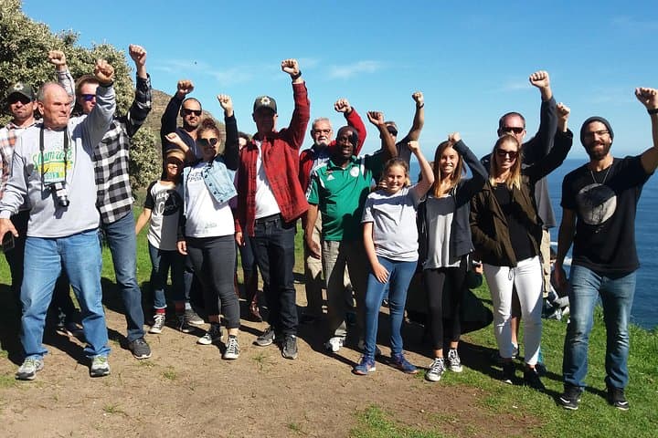 Cape Point Penguins, Chapman's Peak and Constantia Wine: Small-Group Day Tour from Cape Town photo 2